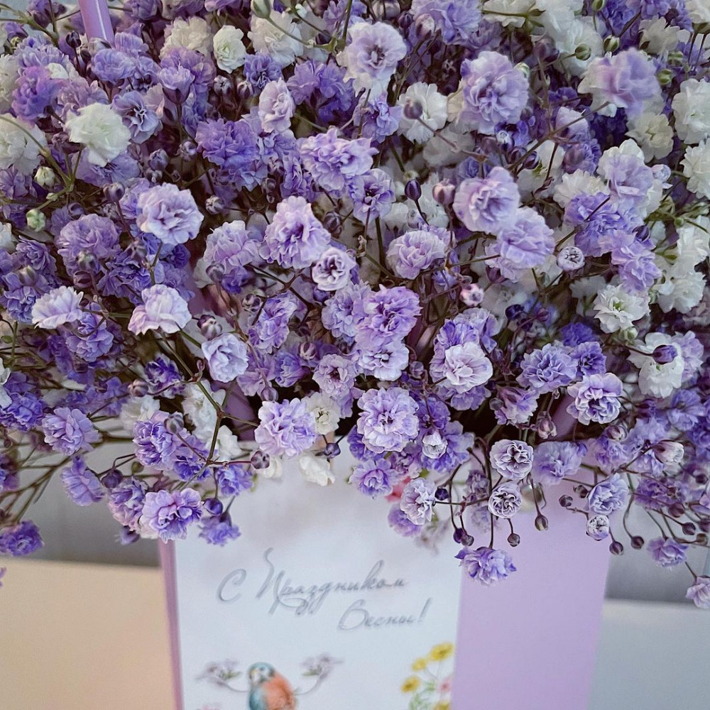 Букет цветов «11 сиреневых гипсофил в фиолетовой сумочке» - фото 2