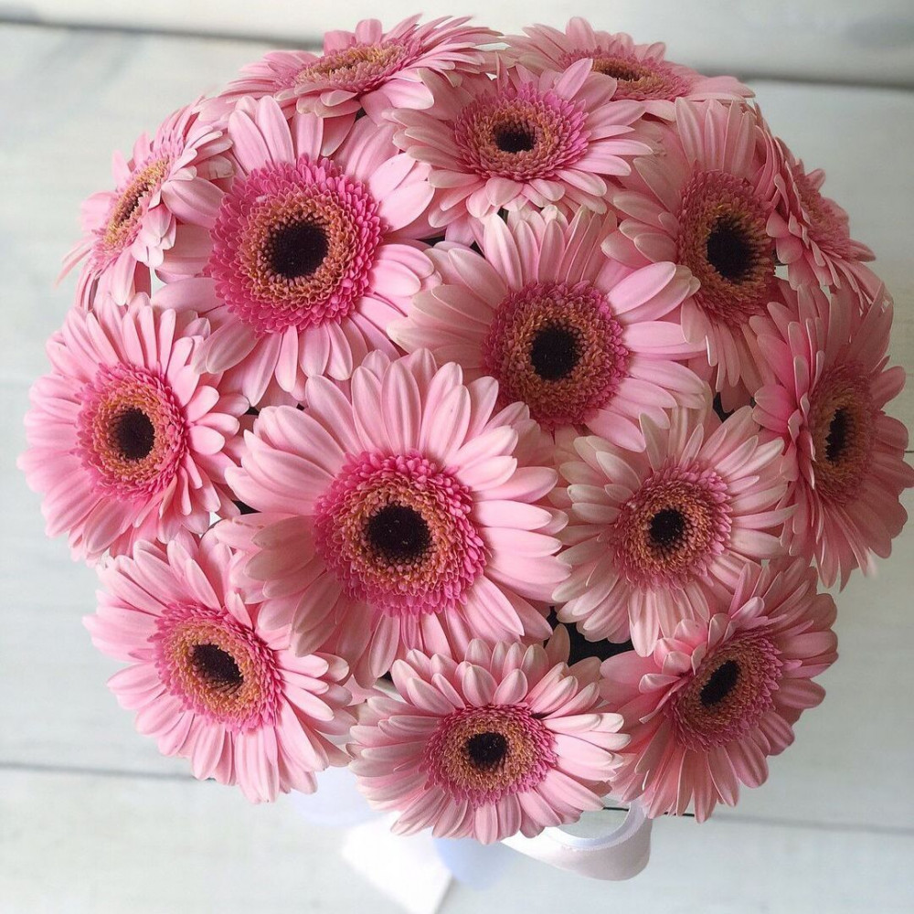 Букет цветов «15 розовых гербер в белой коробке» - фото 2
