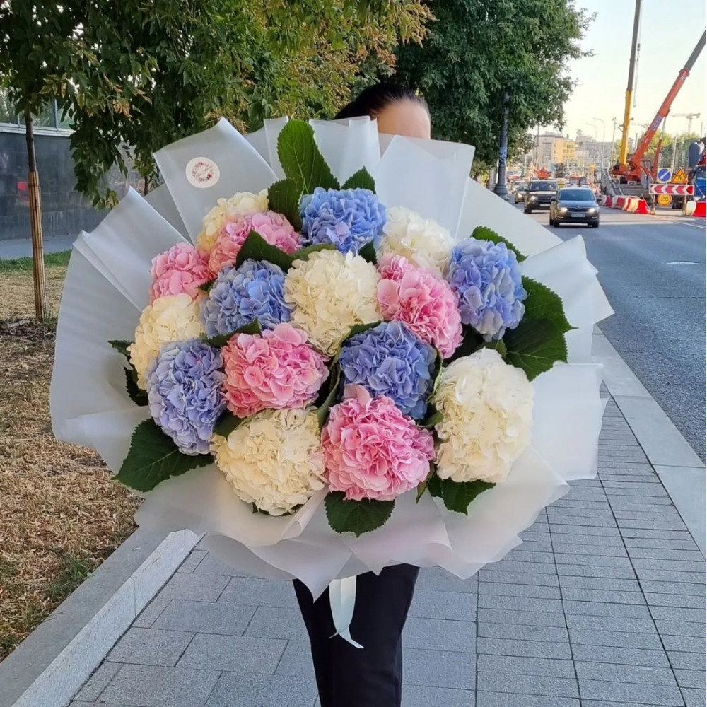 Букет цветов «Букет из 15 разноцветных гортензий»