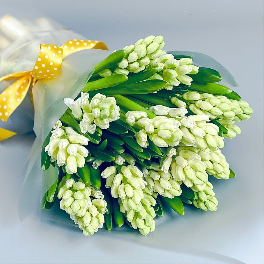 Букет цветов «15 белых гиацинтов в матовой пленке»