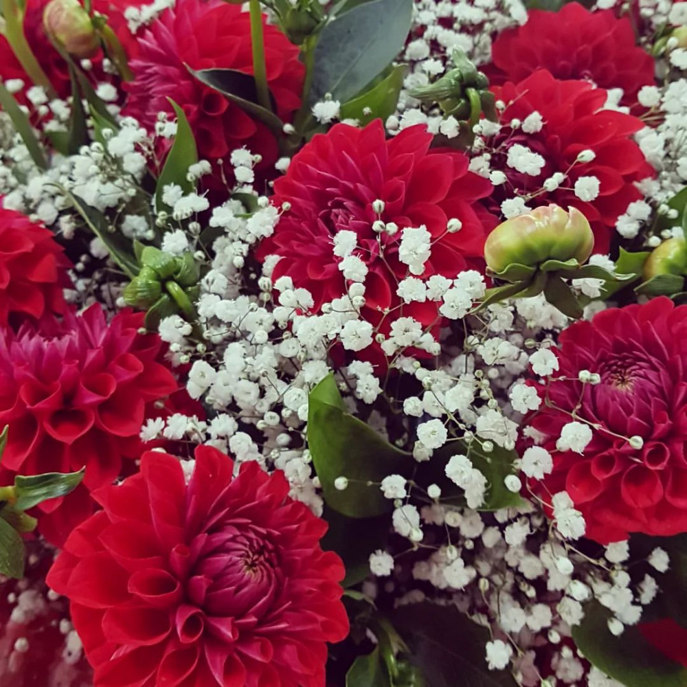 Букет цветов «Букет из 19 красных георгин» - фото 2