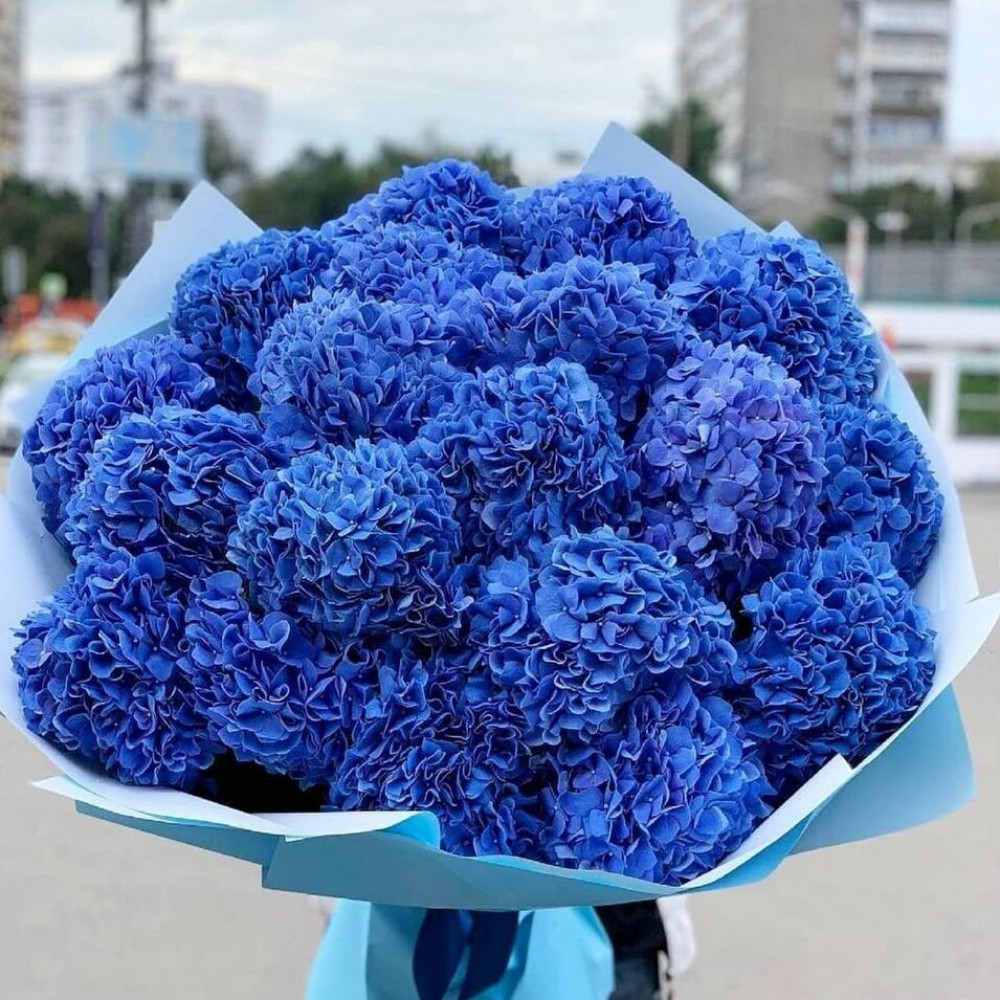 Букет цветов «21 голубая гортензия»
