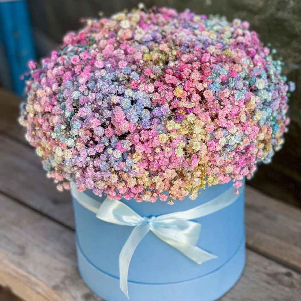 Букет цветов «25 разноцветных гипсофил в коробке»