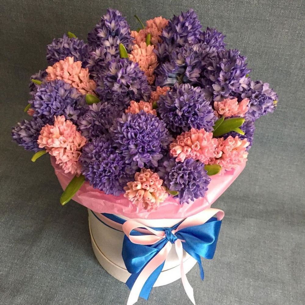 Букет цветов «25 гиацинтов в коробке»