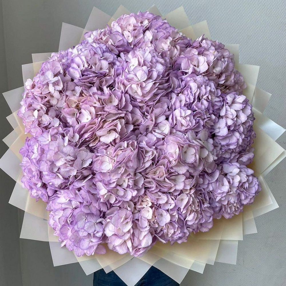 Букет цветов «25 фиолетовых гортензий»
