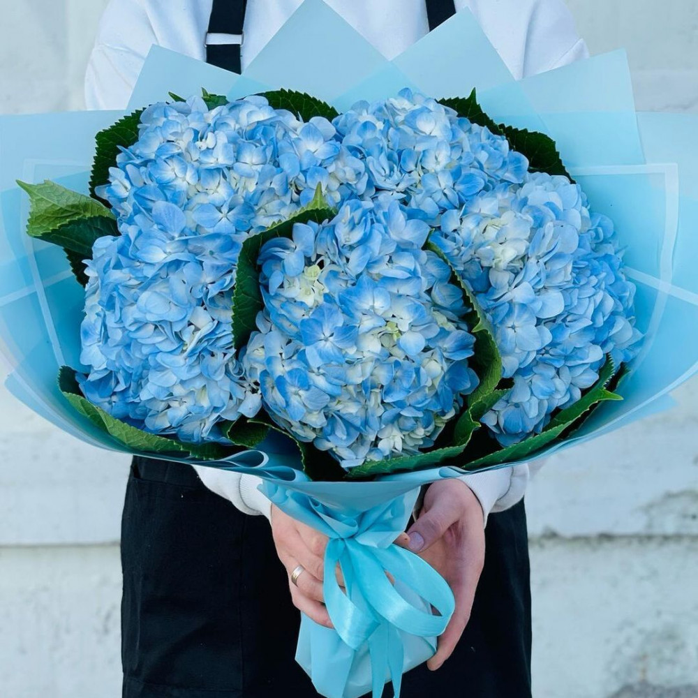 Букет цветов «Букет из 5 голубых гортензий»