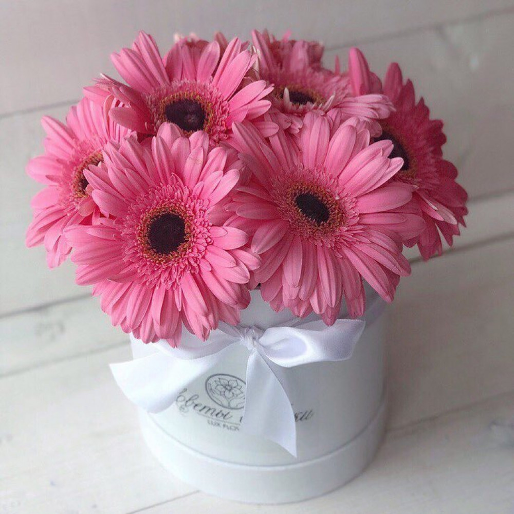 Букет цветов «7 розовых гербер в коробке»