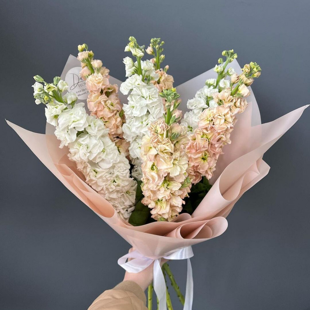 Букет цветов «Букет из 7 белых маттиол»