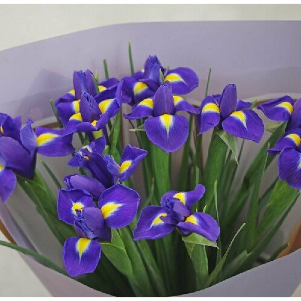Букет цветов «Букет из 9 ирисов в синей упаковке» - фото 2