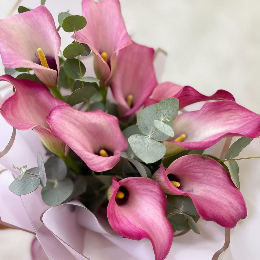 Букет цветов «9 розовых калл с эвкалиптом» - фото 2