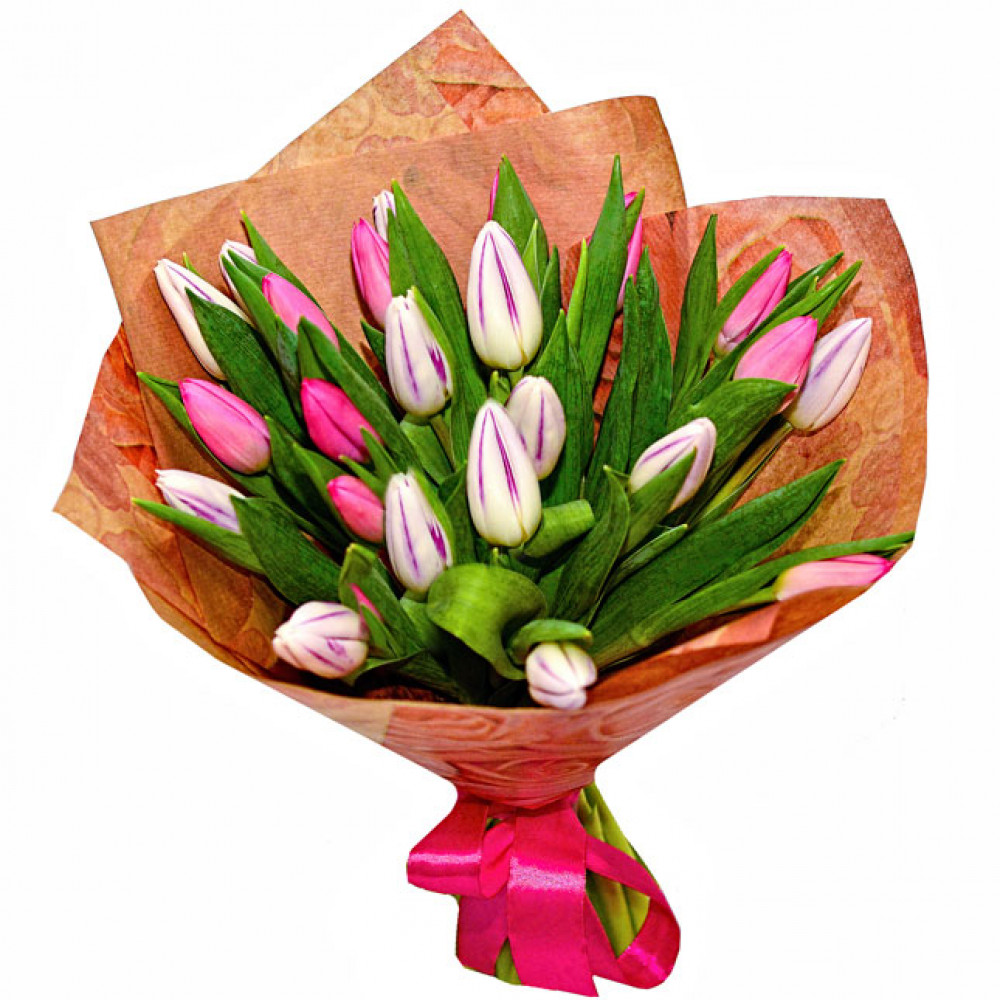 Букет цветов «Букет из 25 розовых тюльпанов»