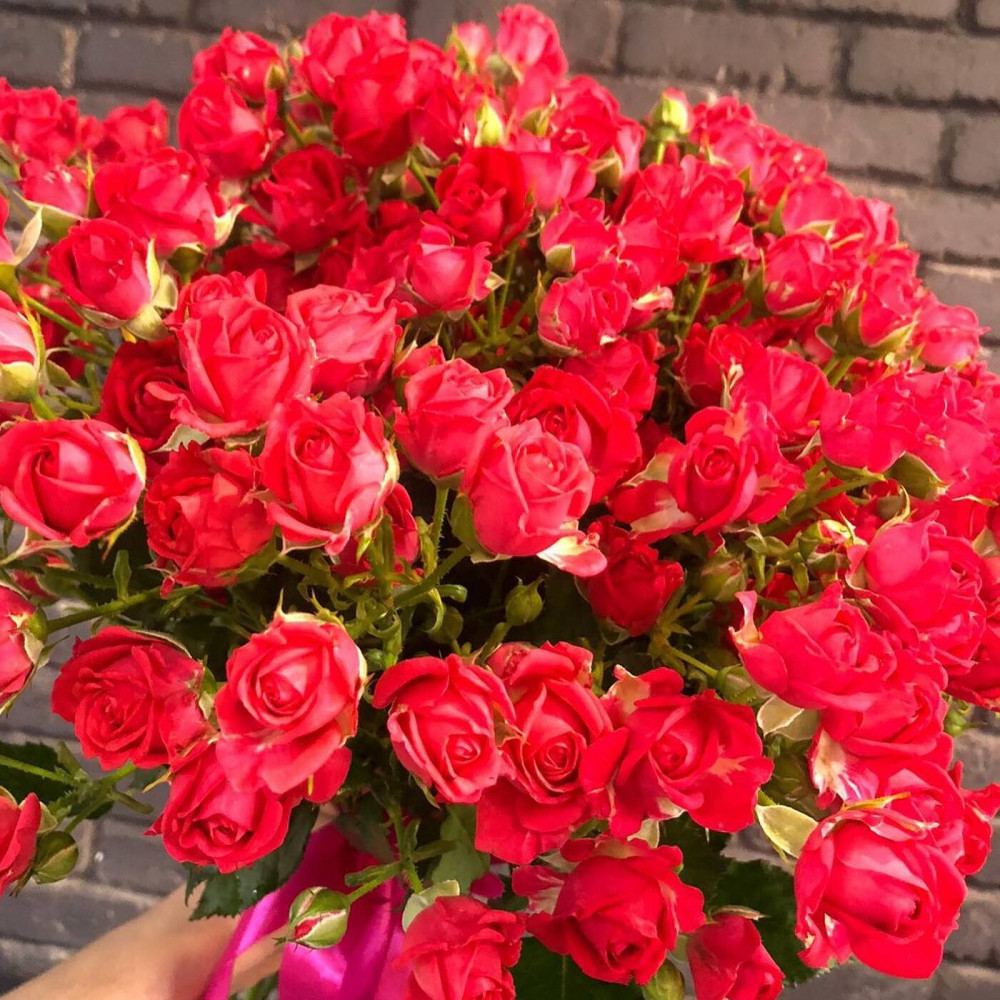 Букет цветов «Букет из 11 красных кустовых роз в ленте» - фото 2