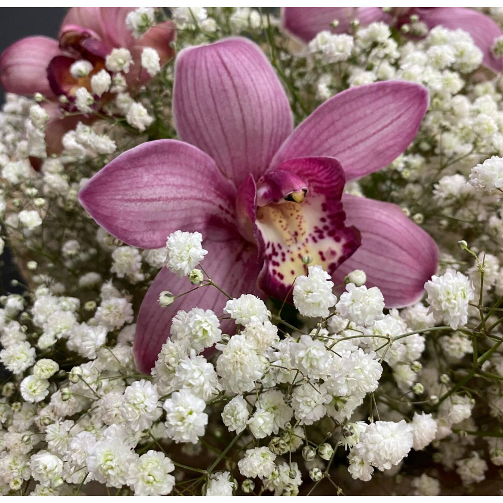 Букет цветов «Букет из гипсофил и орхидеи» - фото 2