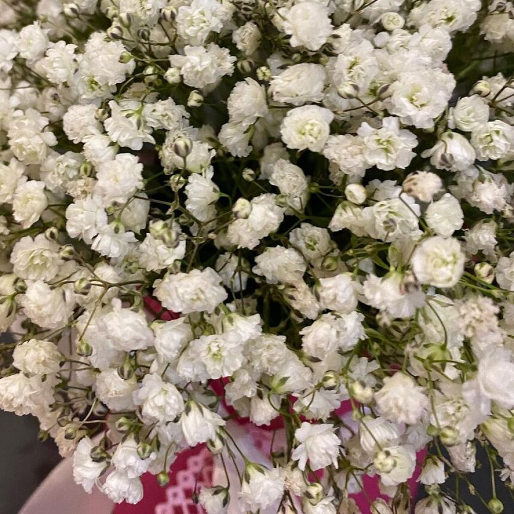 Букет цветов «5 белых гипсофил в розовой коробке» - фото 3